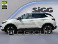 2020 Opel GrandlandX