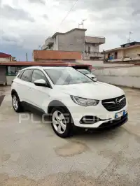 2020 Opel GrandlandX