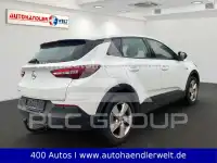 2020 Opel GrandlandX