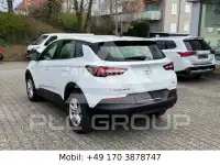 2020 Opel GrandlandX