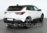 2020 Opel GrandlandX