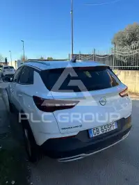 2020 Opel GrandlandX