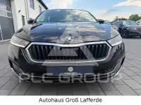 2021 Skoda Octavia