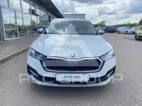 2021 Skoda Octavia