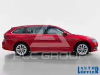 2021 Skoda Octavia