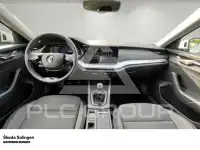 2021 Skoda Octavia