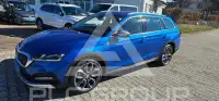 2021 Skoda Octavia