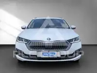 2021 Skoda Octavia