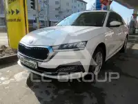 2021 Skoda Octavia