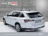 2021 Skoda Octavia