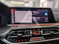 2021 BMW X6