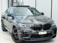 2021 BMW X6