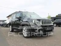 2021 Jeep Renegade