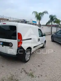 2021 Fiat Unknown