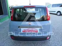 2021 Fiat Panda