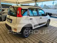 2021 Fiat Panda
