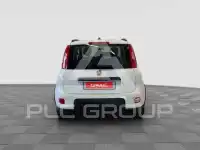 2021 Fiat Panda