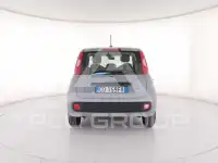 2021 Fiat Panda