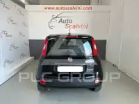 2021 Fiat Panda