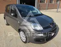 2021 Fiat Panda