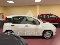 2021 Fiat Panda