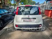 2021 Fiat Panda