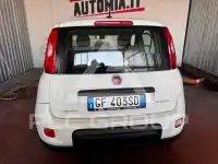 2021 Fiat Panda