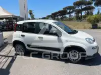 2021 Fiat Panda