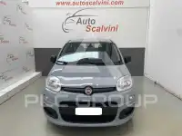 2021 Fiat Panda