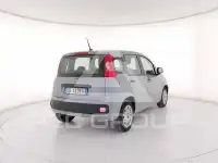 2021 Fiat Panda
