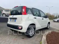 2021 Fiat Panda