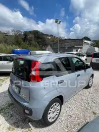 2021 Fiat Panda