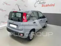 2021 Fiat Panda