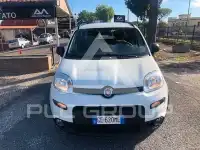 2021 Fiat Panda
