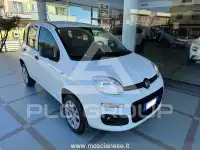 2021 Fiat Panda