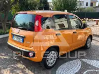 2021 Fiat Panda