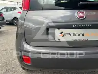 2021 Fiat Panda