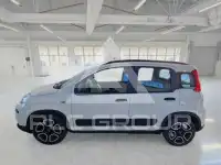 2021 Fiat Panda