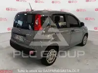 2021 Fiat Panda