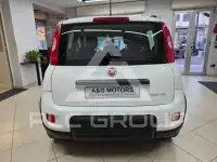 2021 Fiat Panda
