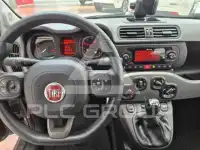 2021 Fiat Panda