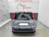 2021 Fiat Panda