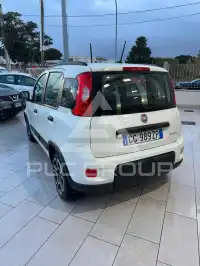 2021 Fiat Panda