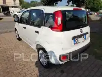 2021 Fiat Panda