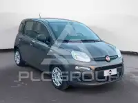 2021 Fiat Panda