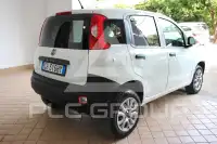 2021 Fiat Panda