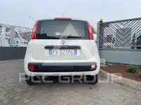 2021 Fiat Panda
