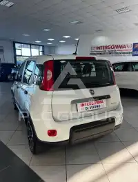 2021 Fiat Panda