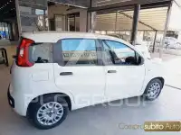 2021 Fiat Panda