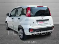 2021 Fiat Panda